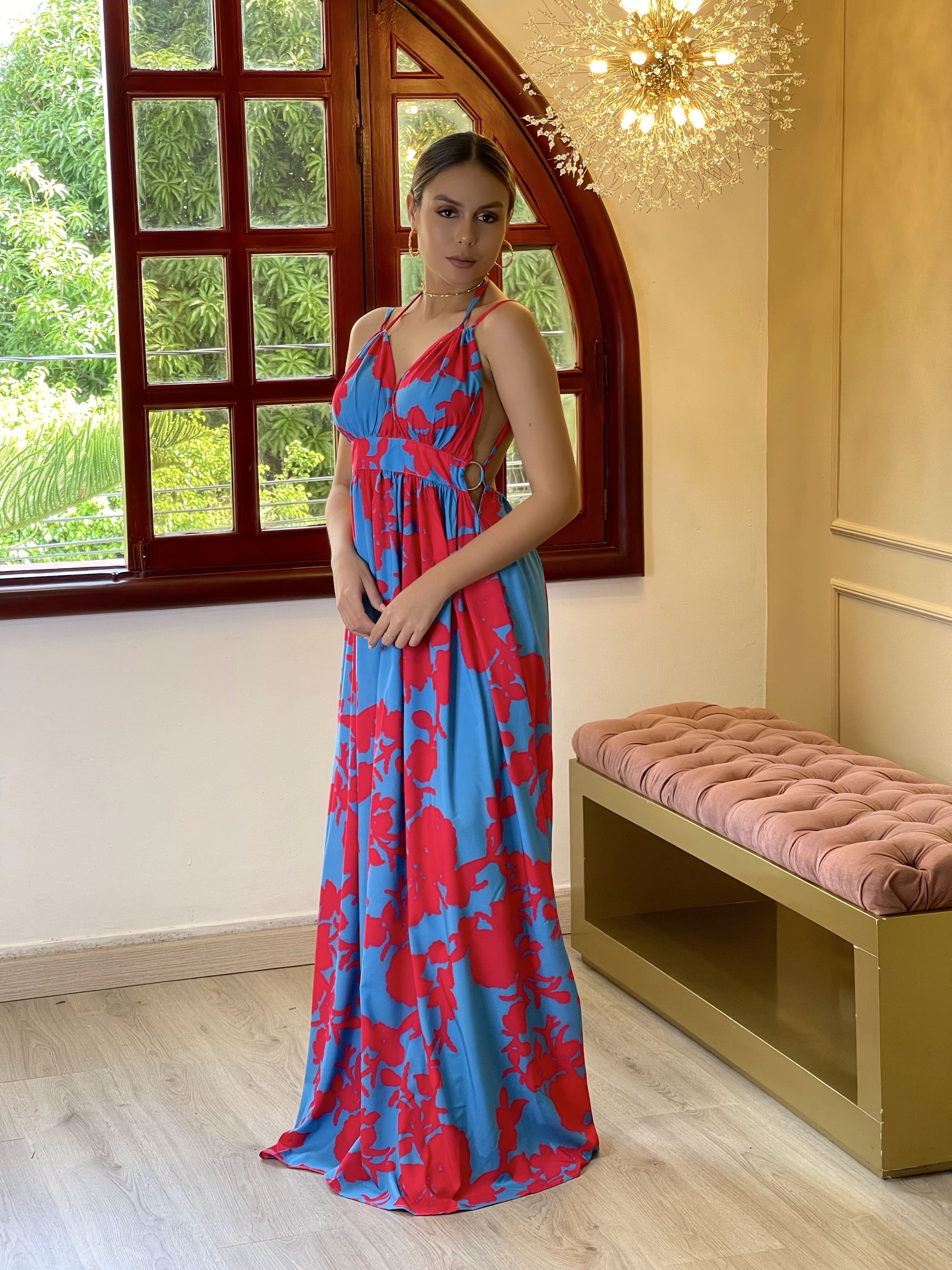 Luciana Printed Dress